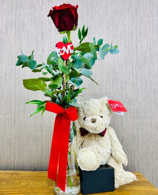 Single Red Rose with Bentley the Bear