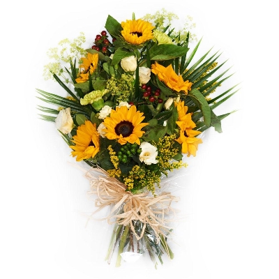 Sunflower Cello Wrap