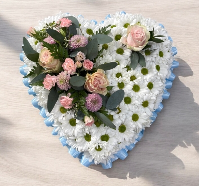 Daisy Chrysanthemum Heart Pink Spray
