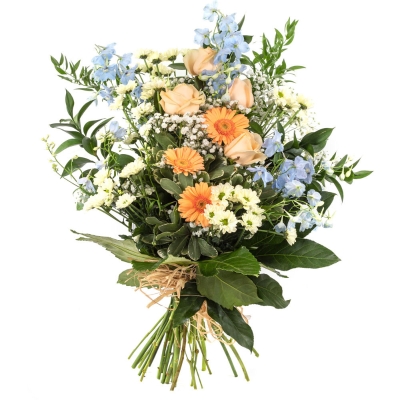 Pale Blue & Peach Tied Sheaf