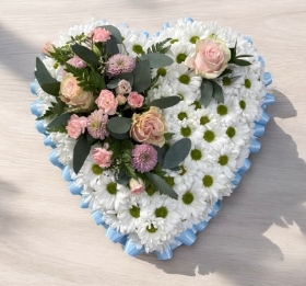 Daisy Chrysanthemum Heart Pink Spray