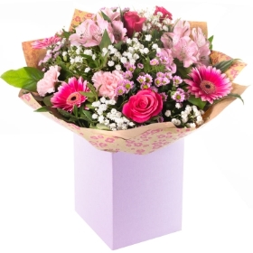 Perfect in Pink Aqua